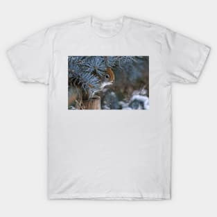 Red Squirrel T-Shirt